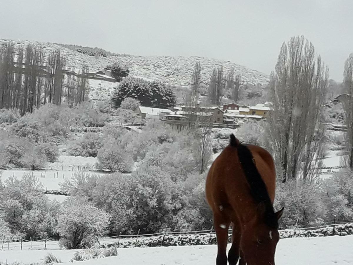 El Rondillo De Gredos Guest House Hoyos del Collado Bagian luar foto